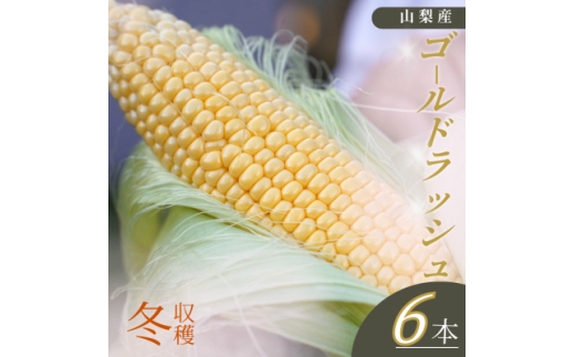 ＜山梨県南部町産＞朝採れゴールドラッシュ6本【1663442】 2284178 - 山梨県南部町