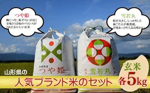 人気のブランド米 つや姫、雪若丸 玄米セット（つや姫、雪若丸 各5kg）（飯豊町産）(R7年産）【価格改定】
