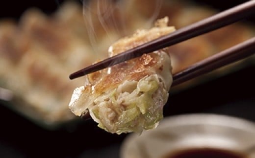 たれ屋のクロワッサン餃子2セット（生餃子48個入り×2・酢醤油たれ付属）　※「ラヴィット！」「櫻井・有吉ＴＨＥ夜会」でも紹介されました！