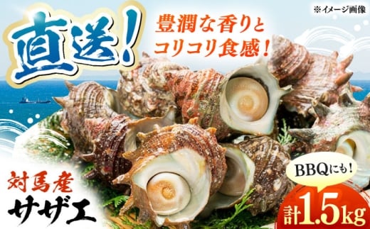 対馬直送！ サザエ 1.5kg 《対馬市》【うえはら株式会社】 産地直送 冷凍配送 さざえ 栄螺 BBQ 魚介 海鮮 対馬 長崎 刺身 つぼ焼き [WAI094]