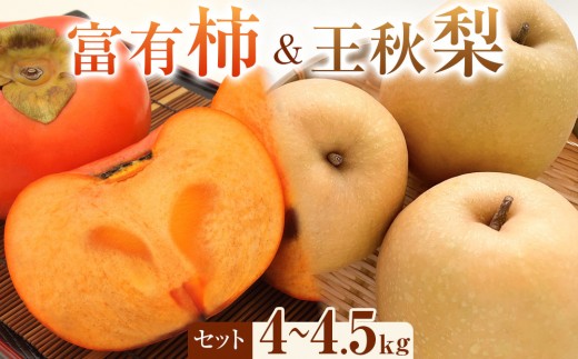 [先行予約]富有柿と王秋梨のセット 秀 4kg以上〜4.5kg未満 ※2025年11月上旬〜12月上旬頃に順次発送予定[先行予約 梨 なし 柿 カキ フルーツ 果物 くだもの 鳥取県 北栄町 おすすめ 人気 送料無料]