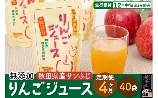 《定期便4ヶ月》 無添加りんごジュース（サンふじ）40パック