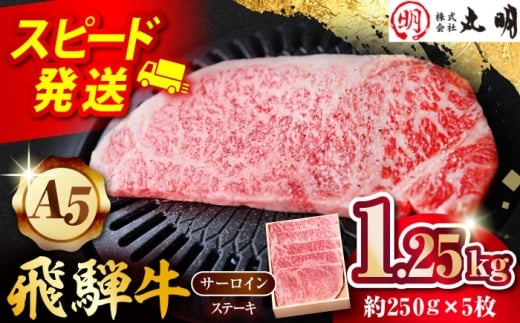 【A5等級】 飛騨牛 サーロインステーキ用 1.25kg(約250g×5枚) 多治見市 / 飛騨牛の丸明 冷凍 和牛 赤身 霜降り 希少部位 [THL009]