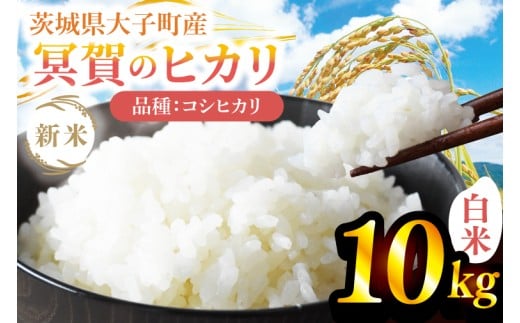 【先行予約】【10月上旬より順次出荷予定】新米10kg 「冥賀のヒカリ」コシヒカリ（白米）令和7年産 ｜茨城県 大子町 奥久慈 天日干し米 おだがけ米 はざがけ米 いねかけ米 米 精米 ご飯 数量限定(DA002)