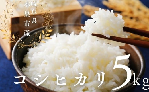【9月期間限定CP実施中】令和7年産 こしひかり 5kg 米 コシヒカリ こめ ごはん 白米 岐阜県 本巣市 お米 精米 甘い 和食 寿司 本巣市 17000円 くどみフルーツ農園 2284175 - 岐阜県本巣市