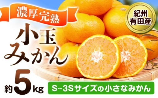 【先行予約】みかん 紀州有田産 濃厚完熟 小玉みかん 約5kg S-3Sサイズ 株式会社魚鶴商店《2025年11月下旬-12月下旬頃出荷》 和歌山県 日高川町 みかん 小玉みかん 完熟 濃厚 柑橘 小玉 小さい