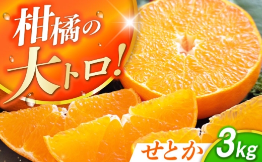 【露地栽培】せとか約3kg（12-15玉） 長与/JAじげもん長与直売所 [EAF008]