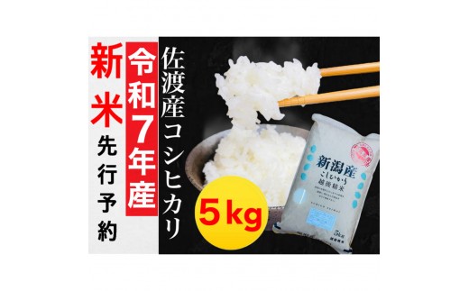 【令和7年度産新米・先行予約】佐渡産コシヒカリ 5kg 973600 - 新潟県佐渡市