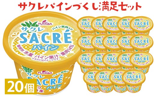 サクレパインづくし満足セット　20個｜アイス かき氷 シャーベット デザート※着日指定不可※離島への配送不可 959307 - 栃木県さくら市