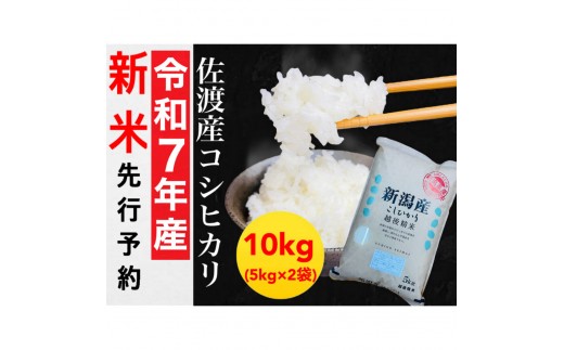 【令和7年度産新米・先行予約】佐渡産コシヒカリ 5kg×2袋セット 973601 - 新潟県佐渡市