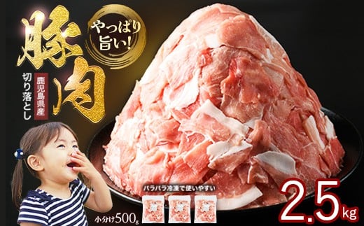小分け＆パラパラで使い勝手抜群！安心の鹿児島県産 豚肉 切り落とし (計2.5kg・500g×5P) 訳あり 小間切れ 小分け 冷凍 ふるさと納税 豚肉 切り落とし【スターゼン】starzen-1362