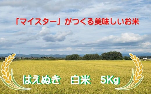 マイスターがつくる　はえぬき　白米 5kg（飯豊町産）(R7年産） 2046006 - 山形県飯豊町