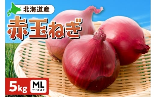 赤玉ねぎ 北海道産 5kg MLサイズ以上