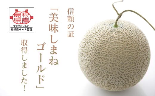 メロンパークのメロン＜2026年8月より順次発送・2Lサイズ1玉＞【1666374】