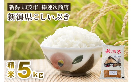 【令和7年産新米先行予約】新潟県産こしいぶき 精米 5kg 《9月下旬～順次出荷》 コシイブキ 新潟米 お米 白米 ライス ご飯 加茂市 捧運次商店