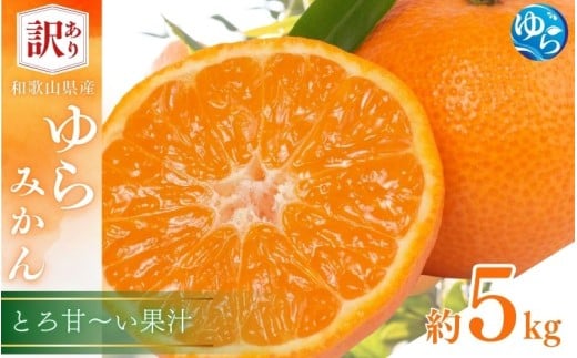 訳あり ゆら みかん 5kg / 温州みかん 和歌山 わけあり 甘い 柑橘 由良 ※2025年11月下旬～順次発送【fmlb089-12】
