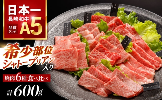 【希少部位 シャトーブリアン入り】長崎和牛 希少部位 焼肉 6種食べ比べセット 600g(各100g) / 国産 牛肉 和牛 肉 a5 焼肉 やきにく 焼き肉用 セット / 諫早市 / 野中精肉店 [AHCW146]
