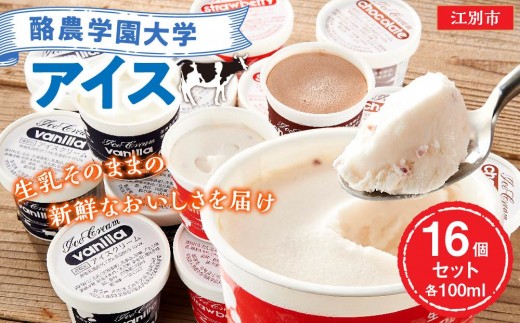 酪農学園大学アイス16個セット（各100ml） 2233915 - 北海道江別市