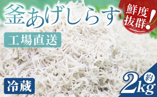 【冷蔵】釜あげしらす(ちりめん) 約2kg - 国産 ちりめん しらす シラス 稚魚 魚介 魚 海産物 天日干し 釜茹で ドロメ サラダ 和え物 アレンジ 料理 ご飯のお供 三浦屋海産 高知県 香南市 冷蔵 mu-0017 2225759 - 高知県香南市