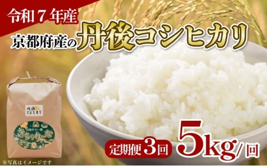 [令和7年産 新米]定期便 全3回 京都府産 丹後コシヒカリ 5kg 米 こめ 白米 国産 ブランド米 取り寄せ 京都 ごはん コシヒカリ 3か月 3ヶ月 2025年度 JA JA京都 京都府産 京都府