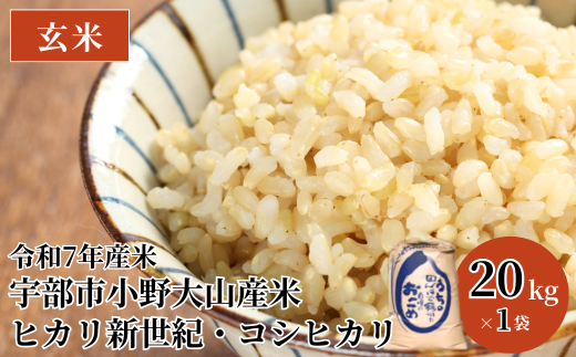 令和7年産米 宇部市小野 大山産米 玄米20kg | 玄米 20kg 米 20キロ 精米 お米 こめ ヒカリ新世紀 コシヒカリ 湧水 大山米 ご飯 おにぎり お弁当 水 令和7年産 山口県 宇部市