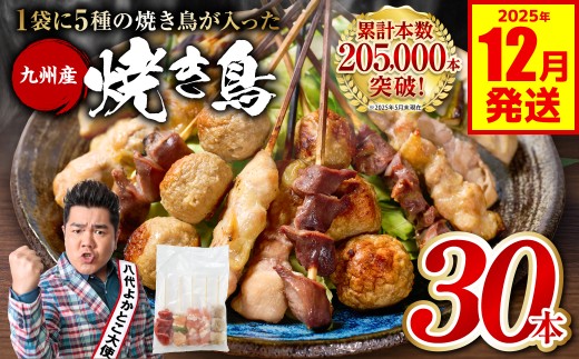 やきとり5種 30本セット お試しサイズ！ 焼き鳥 焼鳥 国産 鶏 鶏肉 とり肉 串 九州産 冷凍 小分け ねぎま むね とろ もも 砂肝 つくね BBQ パーティー おつまみ セット バラエティーパック 【2025年12月発送】