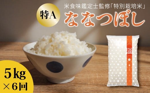 令和7年産【定期便】特別栽培米ななつぼし 5kg×6回 舟山農産
