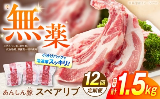 【12回定期便】あんしん豚 スペアリブ 1.5kg 豚肉 小分け 国産 白川町 / 藤井ファーム [AWAF018]