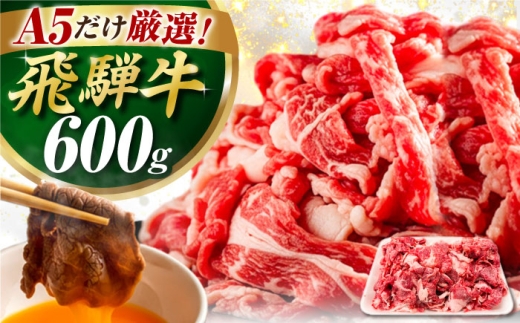 飛騨牛 切り落とし 600g / 飛騨牛 肉 お肉 切落し 不揃い A5ランク 牛肉 岐阜県 / 御嵩町 / 肉のキング [AVAG019]