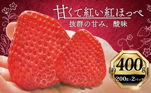 いちご 紅ほっぺ 計 400g 計 2 パック 高級 イチゴ 苺 セット べにほっぺ  2 パック 200g × 2 パック フルーツ 果物 ストロベリー 産地直送 国産 スイーツ デザート くだもの イチゴ 果物 贈答用 ギフト 畠農宝 静岡県 牧之原市