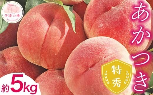 [2026年出荷分先行予約]福島県産 特秀 あかつき 約5kg (15〜18玉) ふくしま未来農業協同組合 特秀 透過式光センサー選別 糖度12度以上 伊達の桃 桃 フルーツ 果物 もも モモ momo F20C-125
