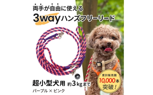 ＜犬用リード＞3WAYハンズフリーリード(超小型犬用)パープル×ピンク＜ゴールデンママ＞【1663355】