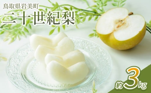 【先行予約】中野農園 梨 ”二十世紀梨” 3kg箱|鳥取 岩美 梨 なし ナシ 20世紀梨 青梨 果物 フルーツ【41025】 2093423 - 鳥取県岩美町