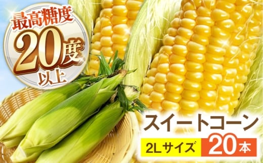 【最高糖度20度以上！】とうもろこし 2Lサイズ 20本 / ゴールドラッシュネオ トウモロコシ コーン スイートコーン / 南島原市 / 三和サービス株式会社 [SGB009]