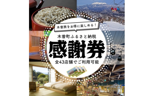 木曽町ふるさと納税感謝券(9,000円分)【1663576】