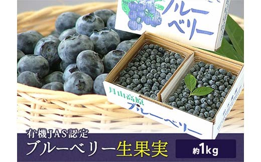 《先行予約 2026年度発送》《数量限定・期間限定》有機JAS認定 栽培ブルーベリー 生果実 約1kg FSY-2386 265724 - 山形県山形県庁