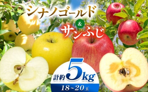 【先行受付】【10月下旬頃～発送予定】塩尻エールりんご！信州りんご 満喫セット（サンふじ・シナノゴールド）約5kg （ 18 ～ 20 玉 ） | 果物 くだもの フルーツ サンふじ シナノゴールド 林檎 りんご リンゴ 長野県 塩尻市 1459221 - 長野県塩尻市