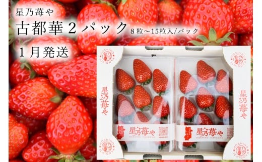 先行予約 奈良県ブランドイチゴ古都華2パック 2026年1月発送 // /苺 いちご イチゴ 古都華 奈良 奈良県 広陵町 生産者直送 直送 厳選 数量限定 旬 フルーツ 甘い 完熟 果物 星乃苺や