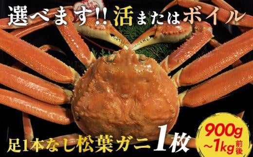 [10/1〜寄附額改定][早期受付][選べます!活またはボイル]足1本なし 訳あり 松葉ガニ 特大1枚(900g〜1kg前後)※着日指定不可※2025年11月上旬頃から順次発送予定 | 蟹 かに 松葉ガニ 松葉蟹 訳あり 家庭用 鳥取県産 北栄町 おすすめ 人気