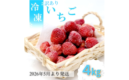 訳あり いちご 白木のいちご 旬のおいしさそのまま 冷凍いちご 4kg わけあり イチゴ 苺 果物 デザート ※配送不可：沖縄・離島