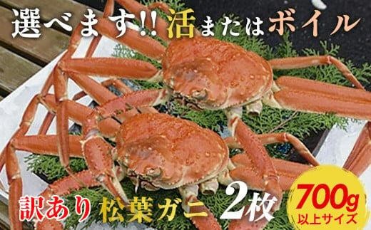 [10/1〜寄附額改定][選べます!活またはボイル]訳あり 松葉ガニ 2枚※2025年11月上旬〜2026年3月下旬頃に順次発送予定※着日指定不可 | 蟹 かに 松葉ガニ 松葉蟹 訳あり 家庭用 鳥取県産 北栄町 おすすめ 人気