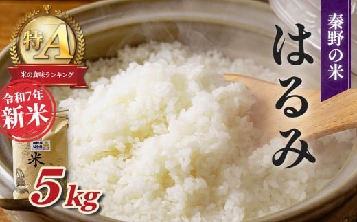【令和7年新米】秦野のお米「はるみ」5kg（11月～順次発送） | 神奈川県産 秦野市 大地 5kg 5キロ 米 こめ コメ お米 白米 精米 お取り寄せ 贈答 人気 ランキング ごはん ご飯 贈り物 5キロ 風味 甘い 甘み ブランド米 人気米 新米 1袋 ちょうどいい おいしい 美味しい 美味 ふっくら ツヤ 備蓄 災害対策　25_009-13-1 709259 - 神奈川県秦野市