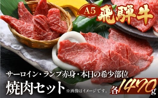 飛騨牛サーロイン・ランプ赤身・本日の希少部位焼肉セット 各490g  【冷凍】ブランド牛 牛肉 国産 下呂温泉 牛 飛騨牛 食べ比べ 高級 焼き肉 ヤキニク やきにく ひだぎゅう