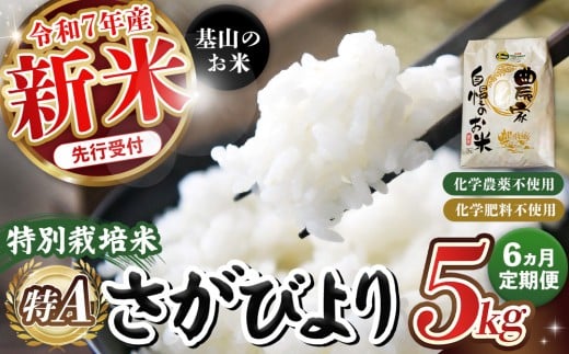 【令和7年新米・先行受付】【6カ月定期便】基山の米 さがびより 5kg 特別栽培米【15年連続特A受賞米 ブランド米 精米 化学農薬・化学肥料不使用 環境保護 健康志向 美味しい米 こだわり米 お米 地元産 風味豊か こだわりの味】K098301