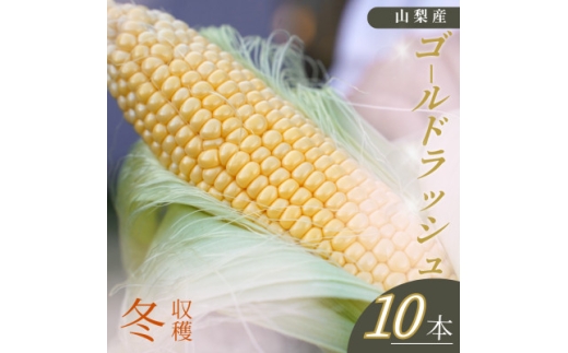 ＜山梨県南部町産＞朝採れゴールドラッシュ10本【1663448】 2284179 - 山梨県南部町