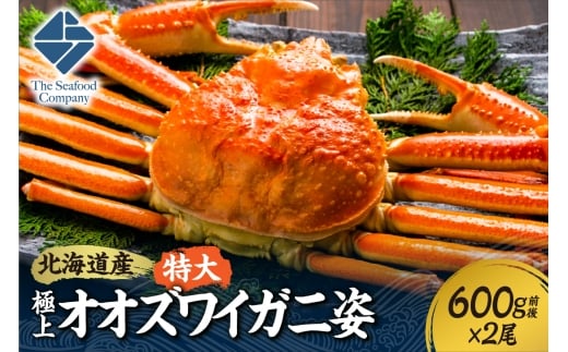 北海道産特大極上オオズワイガニ姿　600g前後×2尾セット