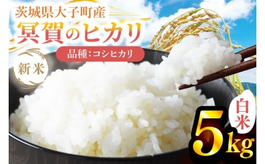 【先行予約】【10月上旬より順次出荷予定】新米5kg 「冥賀のヒカリ」コシヒカリ（白米）令和7年産 ｜茨城県 大子町 奥久慈 天日干し米 おだがけ米 はざがけ米 いねかけ米 米 精米 ご飯 数量限定(DA001)
