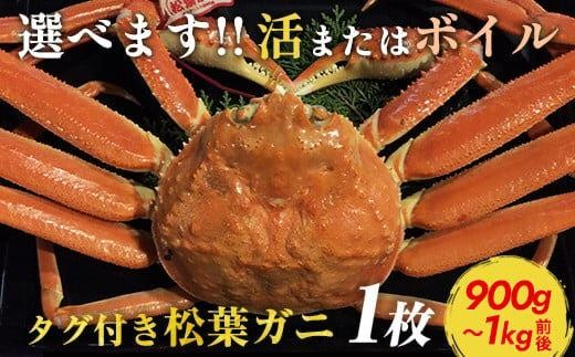 [10/1〜寄附額改定][選べます!活またはボイル]タグ付き松葉ガニ 特大1枚(900g〜1kg前後)[着日指定不可]※2025年11月上旬〜2026年3月下旬頃に順次発送予定