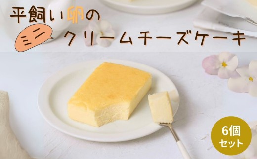 平飼い卵と米粉を使った クリームチーズケーキ 【ミニ】 6個セット | クリームチーズケーキ クリームチーズ チーズ ケーキ 米粉 平飼い卵 卵 冷凍 セット 6個 ミニ 穴太商店 あのう 千葉県 君津市 きみつ 2236051 - 千葉県君津市