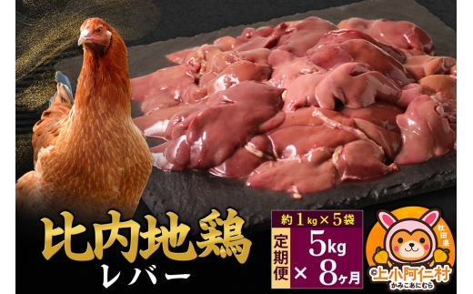 【定期便8ヶ月】比内地鶏 レバー 5kg(1kg×5袋) 5kg 国産 冷凍 鶏肉 鳥肉 とり肉 1937157 - 秋田県上小阿仁村